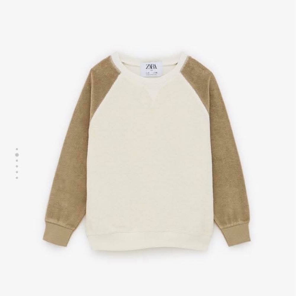 Zara | Boys Colorblock Terry Sweatshirt